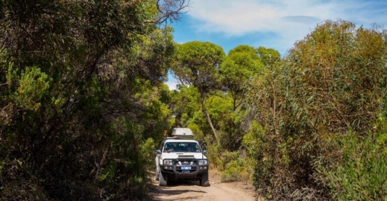 Port Lincoln: Wildlife and Sightseeing Full-Day 4WD Tour - A Deep Dive Into the Experience