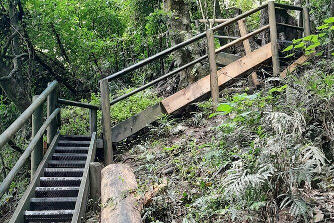Port Macquarie day tour to Ellenborough Falls & Comboyne Rock - Frequently Asked Questions