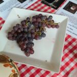 Port Macquarie Wine and Beer, Hastings Tasting Trail Tour - Who Will Love This Tour?