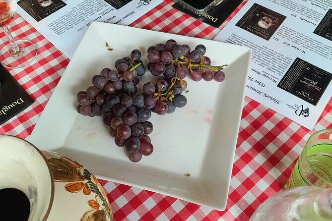 Port Macquarie Wine and Beer, Hastings Tasting Trail Tour - Who Will Love This Tour?