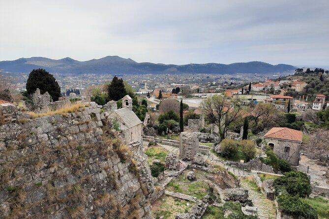 Port of Bar - Old town Bar and oldest European Olive tree visit - Who Should Consider This Tour?