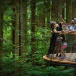 Port of Tauranga, Te Puia/Redwoods TreeWalk Glowworms/Hells Gate - Final Thoughts: Is This Tour Right for You?