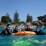 Port Phillip Bay Snorkeling with Sea Dragons - Final Thoughts