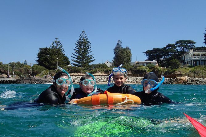 Port Phillip Bay Snorkeling with Sea Dragons - Final Thoughts
