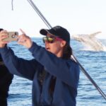 Port Stephens 3 Hour Whale and Dolphin Watch Cruise - The Boat and Comfort Level