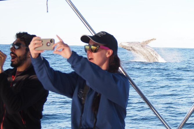 Port Stephens 3 Hour Whale and Dolphin Watch Cruise - The Boat and Comfort Level
