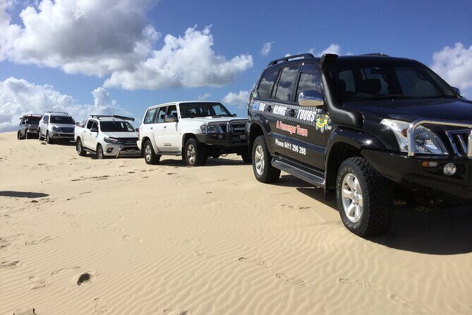 Port Stephens, Beach and Sand Dune 4WD Tag-Along Tour - An In-Depth Look at the Port Stephens 4WD Tag-Along Tour