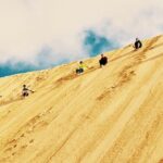 Port Stephens Day Trip from Sydney - A Closer Look at the Itinerary