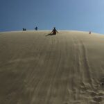 Port Stephens Private Tour From Sydney, with Dolphin/ Whale Cruise Options - The Experience & What Travelers Can Expect