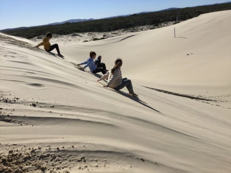 Port Stephens: Stockton Sand Dunes 4WD Tag-Along Tour - Authentic Feedback: What Do Participants Say?