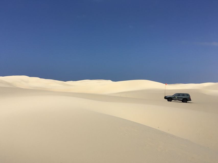 Port Stephens: Unlimited Sandboarding with 4WD Dune Transfer