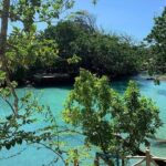 Port Vila Full Day Tour - Experience the Real Vanuatu - Authenticity and Value