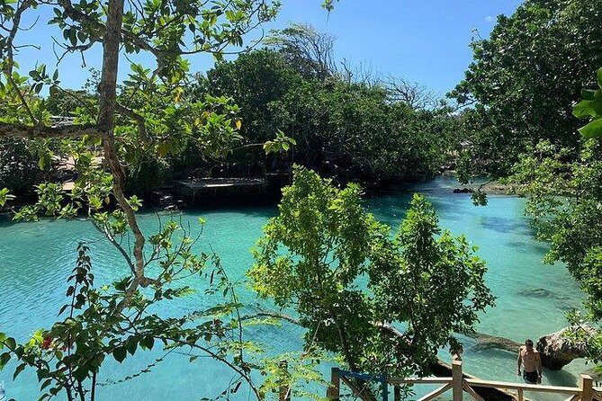 Port Vila Full Day Tour - Experience the Real Vanuatu - Authenticity and Value