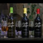 Port wine tasting in Vila Nova de Gaia - A detailed look at the experience in Vila Nova de Gaia
