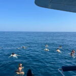 Portimão: Benagil Caves & Golden Coast Eco Catamaran Tour - Final Thoughts: Why Choose the Portimão: Benagil Caves & Golden Coast Eco Catamaran Tour?
