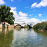 Portimão: Silves & Arade River History Tour on a Solar Boat - Who Will Love This Tour?