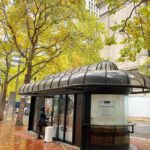 Portland: Best of the City Small Group Walking Tour - Exploring Portland’s Cultural District and Park Blocks