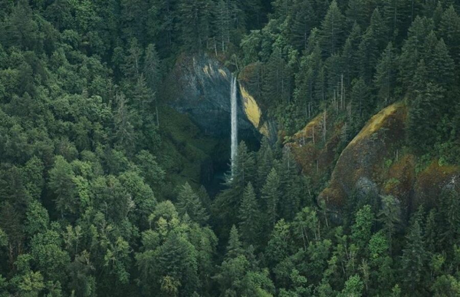 Portland: Columbia Gorge Waterfalls Scenic Air Tour - An In-Depth Look at the Columbia Gorge Waterfalls Scenic Air Tour