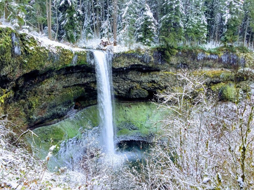 Portland: Silver Falls Hike - What’s Included and What to Consider