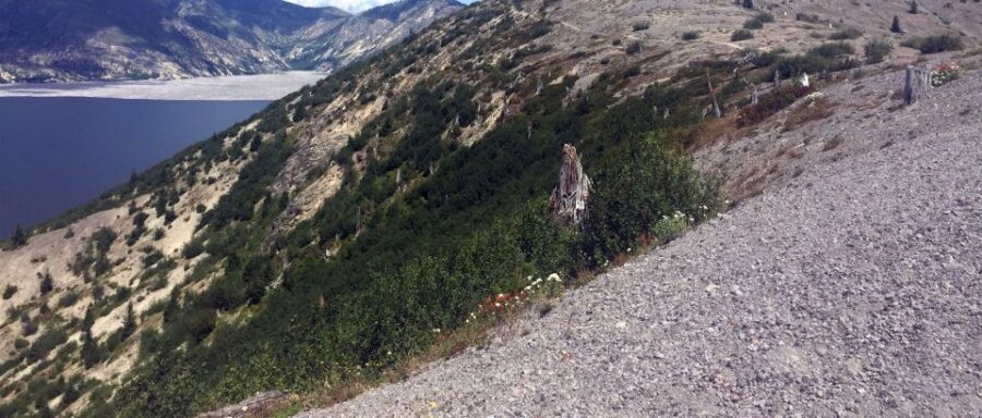 Portland: The Mt. St. Helens Adventure Tour - Practical Details and What to Expect