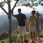 Porto: 3 Douro Valley Vineyards Tour with Lunch - A Closer Look at This Douro Valley Tour