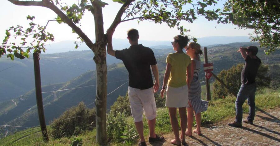 Porto: 3 Douro Valley Vineyards Tour with Lunch - A Closer Look at This Douro Valley Tour