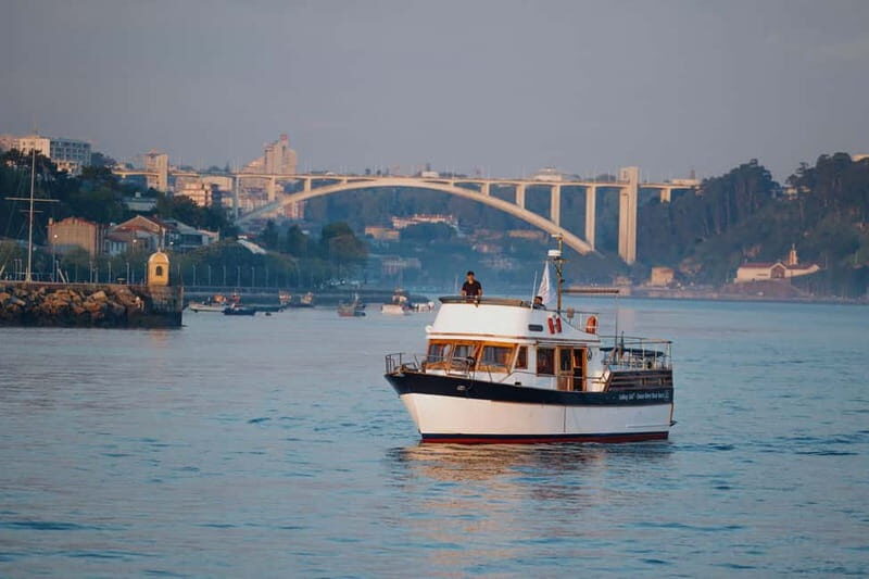 Porto: 6 Bridges Port Wine River Cruise with 4 Tastings - An In-Depth Look at the Experience