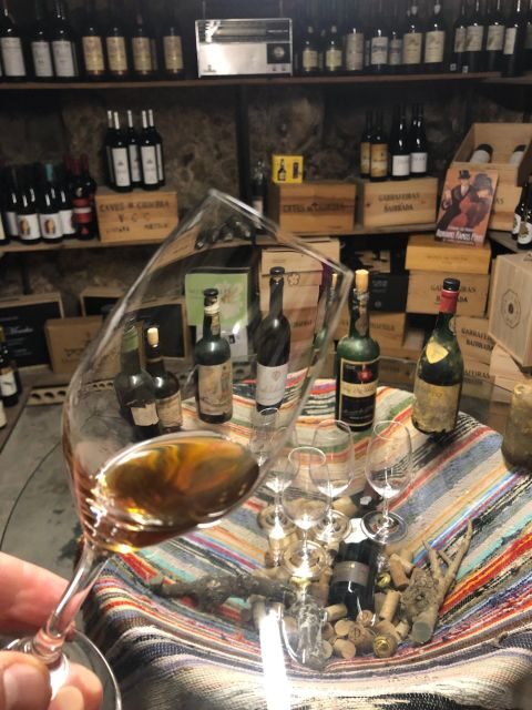 Porto: Cheese and Port Wine Tasting in a Unique Place - Why You Should Consider This Experience