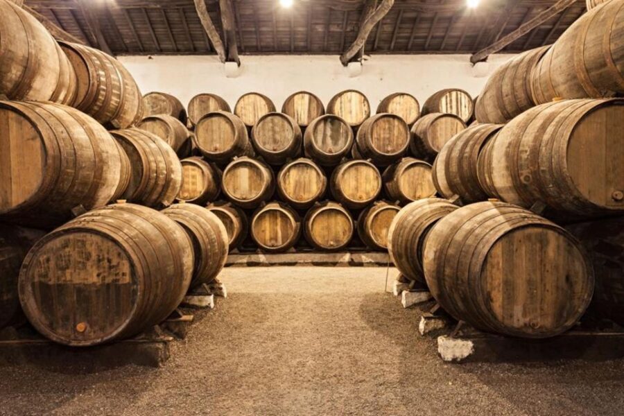 Porto City Full-Day Tour with Wine Tasting - Who Should Consider This Tour?
