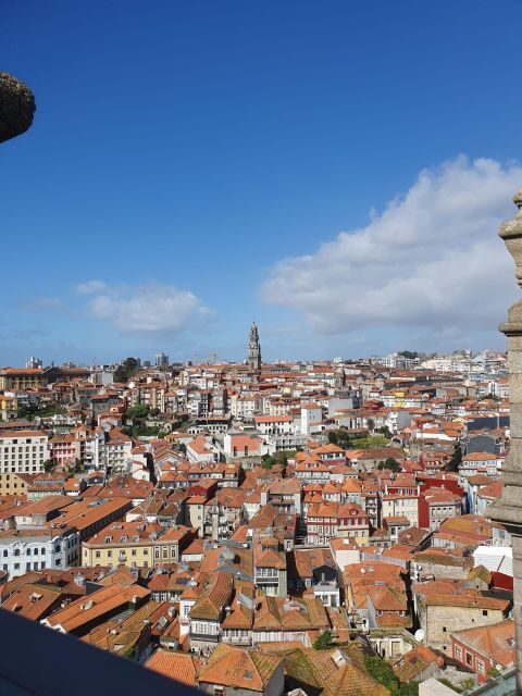 Porto city half-day Private Tour - The Sum Up