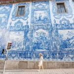 Porto City Tour: Private day tour with tickets included. - Frequently Asked Questions