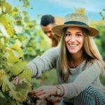Porto: Dão Wineries Tour with Wine Tasting, Lunch and Cheese - Exploring the Dão: A Detailed Review