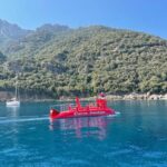 Porto : Discovery of the marine fauna and flora/Bay of Porto - An In-Depth Look at the Porto Marine Tour