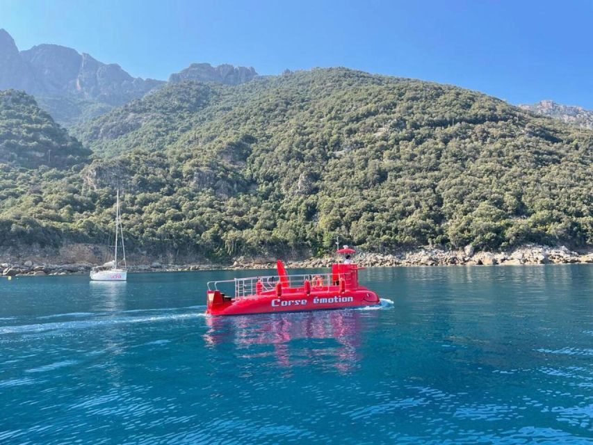 Porto : Discovery of the marine fauna and flora/Bay of Porto - An In-Depth Look at the Porto Marine Tour