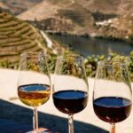 Porto: Douro Valley & Amarante Wine, Food & River Tour - Practical Details