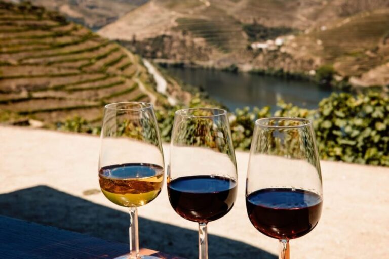 Porto: Douro Valley & Amarante Wine, Food & River Tour - Practical Details