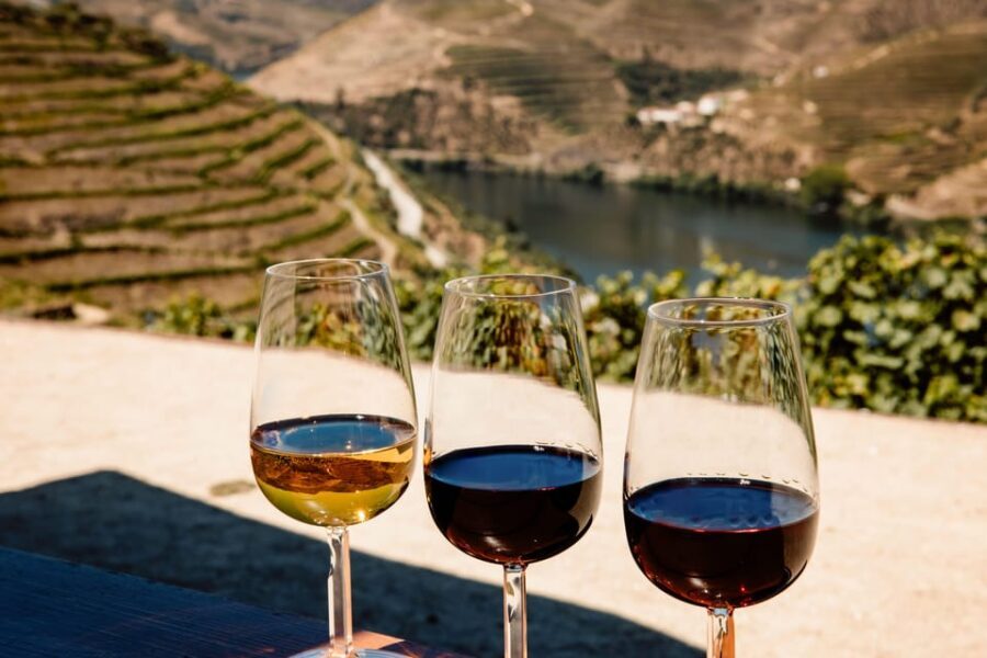 Porto: Douro Valley & Amarante Wine, Food & River Tour - Practical Details