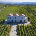 Porto: Douro Valley Day Trip with Lunch and Favaios Village - What Makes This Tour Stand Out