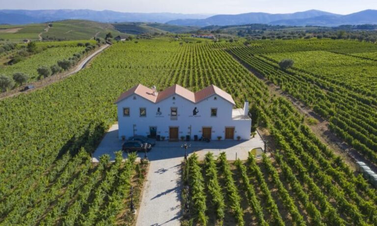 Porto: Douro Valley Day Trip with Lunch and Favaios Village - What Makes This Tour Stand Out