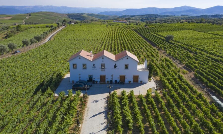 Porto: Douro Valley Day Trip with Lunch and Favaios Village - What Makes This Tour Stand Out