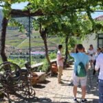 Porto: DOURO VALLEY Half-day Tour - A Detailed Look at the Douro Valley Half-day Tour