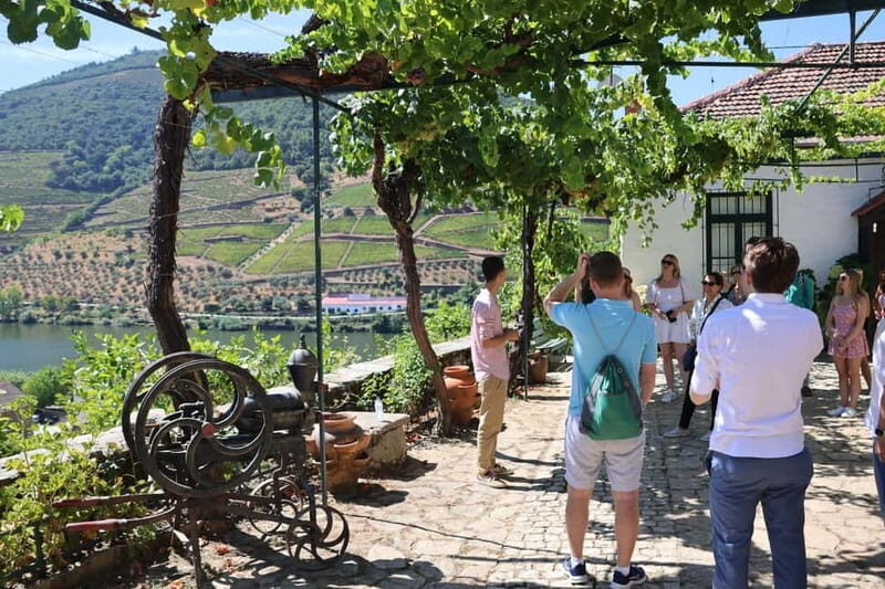 Porto: DOURO VALLEY Half-day Tour - A Detailed Look at the Douro Valley Half-day Tour