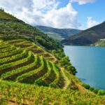 Porto: Douro Valley History & Wine Tour with Cruise & Lunch - Considering the Downsides