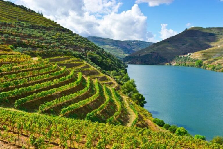 Porto: Douro Valley History & Wine Tour with Cruise & Lunch - Considering the Downsides