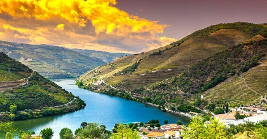 Porto: Douro Valley Private Full-Day Tour - FAQs