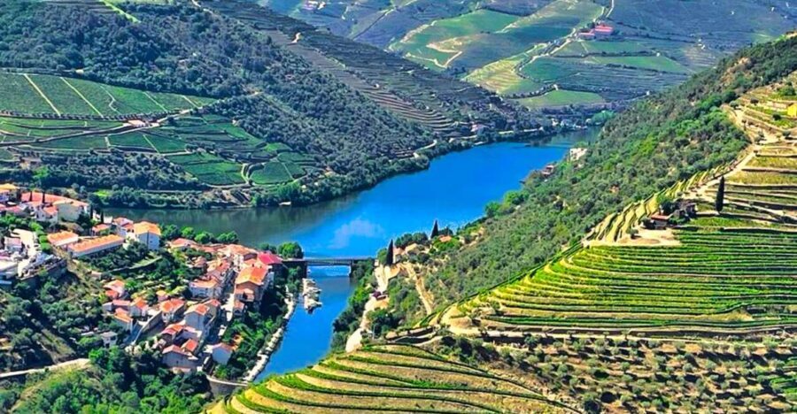 Porto: Douro Valley Private Tour 2 Vineyards & River Cruise - The Value of This Tour