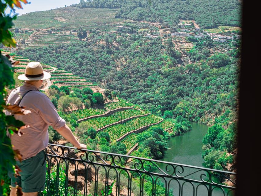 Porto: Douro Valley Private Tour, Tastings, Cruise & Lunch - How This Tour Delivers Value
