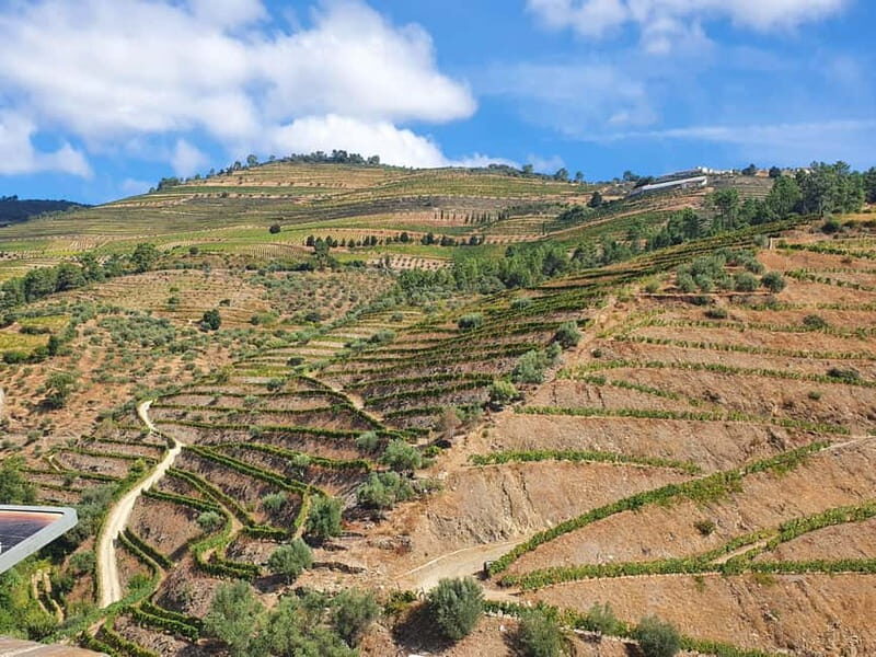 Porto: Douro Valley Private Tour with Winery Visit & Lunch - Meeting in Porto and Heading to the Douro