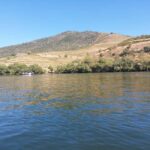 Porto: Douro Valley Tour by Private Car - What Makes This Tour Stand Out?
