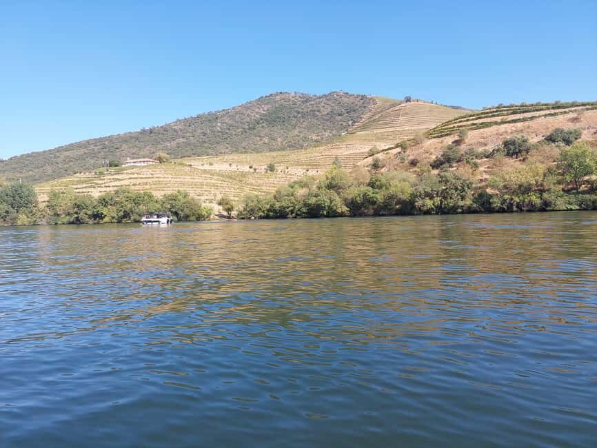 Porto: Douro Valley Tour by Private Car - What Makes This Tour Stand Out?